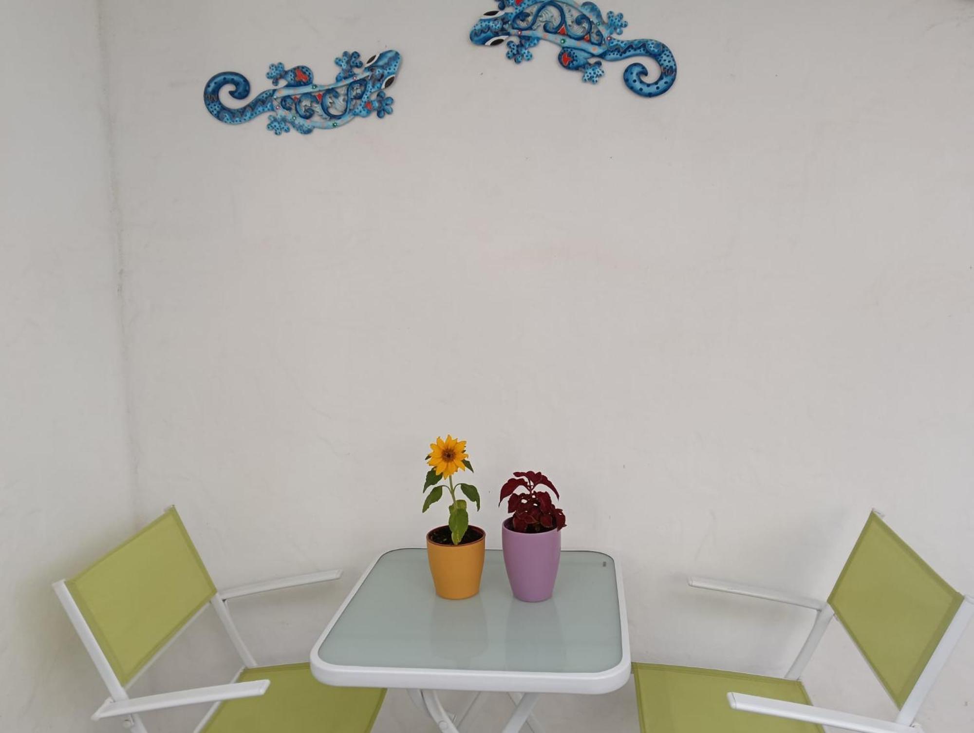 Appartamento Las Palmas Tarajalejo Exterior foto